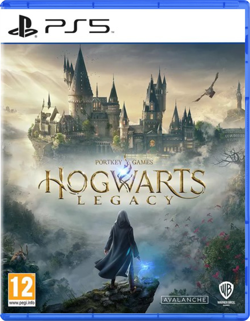 Hogwarts Legacy - Playstation 5 Games
